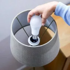 Wiz Color Slimme Lamp E27 60w -LAMPEN Winkel 3464143 b590b0ff