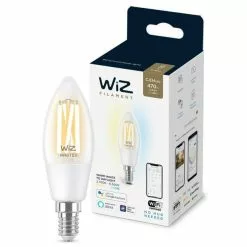 Wiz E14 40w Variabele Witte Vlam Aangesloten Lamp