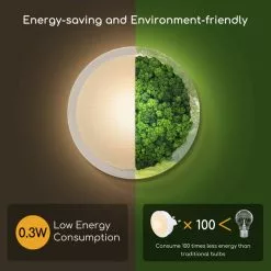 Aigostar 10BA4 - 2 Stuks LED Nachtlampje Stopcontact - Dimbare Nachtlampjes Met Sensor - Nacht Lamp - Wit - 65,2 Mm -LAMPEN Winkel 3883040 567d3621